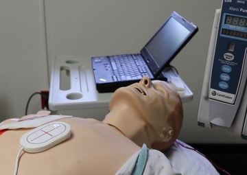 BACH hosts simulation showcase