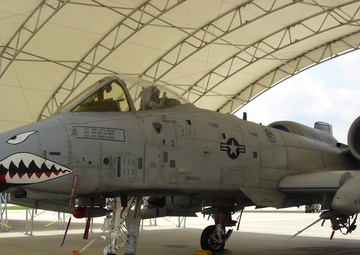 A Pilot and His Plane