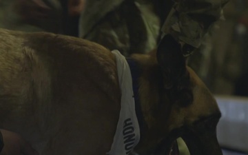 824th Pays Respects to Military Working Dog