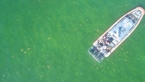 Coast Guard Station Islamorada and the Key West Turtle Hospital release sea turtles back into wild