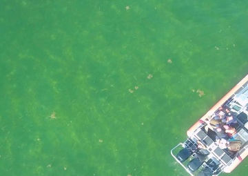 Coast Guard Station Islamorada and the Key West Turtle Hospital release sea turtles back into wild
