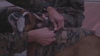 Lance Cpl. Manny Promotion