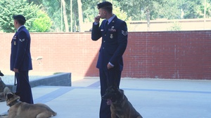 Remembering Military Working Dog Buck