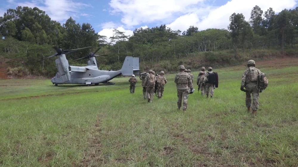 DVIDS Video Joint Field Artillery Exercise