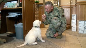 Lincoln the dog joins 185th care team