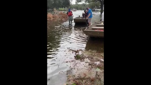 Coast Guard crews rescue 2 dogs in Delcambre