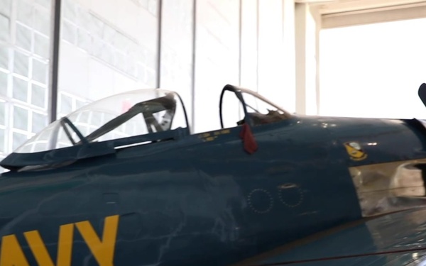 Get to know Warbirds- Interviews