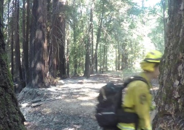 Cal Guard's Joint Task Force Rattlesnake works CZU Lightning Fire