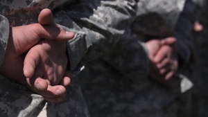 A Professional Discussion- Army Customs Courtesies and Traditions