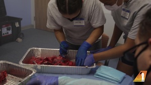 Edwards medics conduct TCCC training
