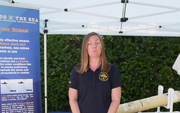 SoTS: Sound in the Ocean