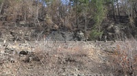 Detroit and Big Cliff dams wildfire assessment
