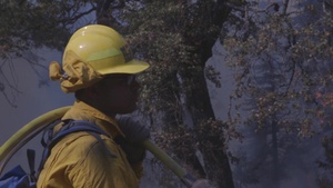 7th Engineer Support Battalion conduct wildland fire fighting operations with National Interagency Fire Center Personnel day six (60 FPS)