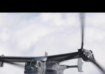 FICTION URCHIN Teaser