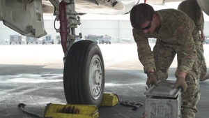 Beale's EOD Training