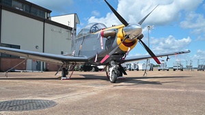 41st FTS heritage aircraft static display