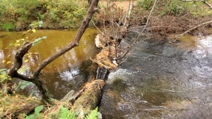 La Crosse River flows at Pine View Recreation Area at Fort McCoy