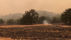 Holding the Line on the Dolan Fire
