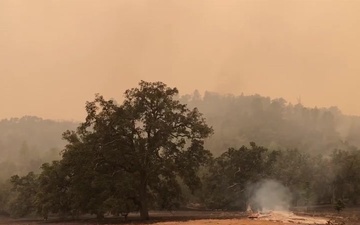 Holding the Line on the Dolan Fire