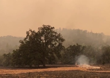 Holding the Line on the Dolan Fire