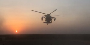 Orientation flight