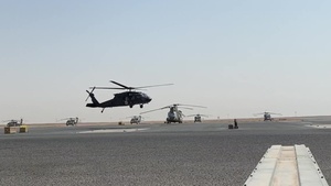 Orientation flight
