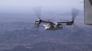 U.S. Marines participate in day tactics training during WTI 1-21