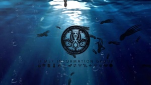 World Octopus Day Animation
