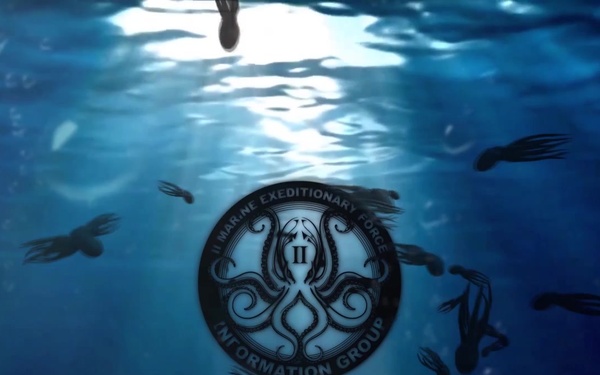 World Octopus Day Animation