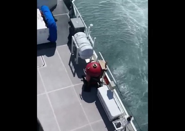 USAF, USCG Join for Rescue Training