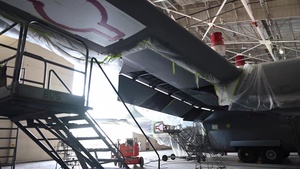 LRAFB 65th anniversary heritage tail painting