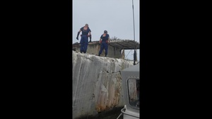 Coast Guard members, wildlife specialists help rescue injured pelican