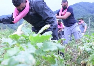 201410-Anseong voluntary cleanup