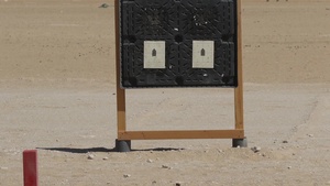 First Annual Task Force Spartan Small Arms Marksmanship Competition