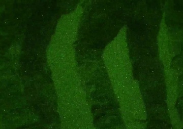 68th CTMC Urban Movement Night_July 2020