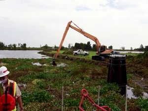 Corps works Overtime: Tussocks Removed