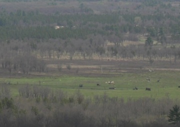 Northern Lightning exercise