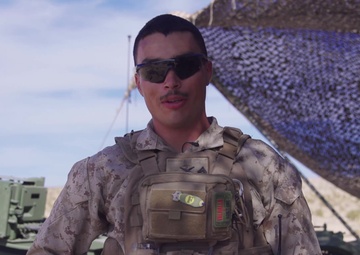 Veterans Day with 2/11