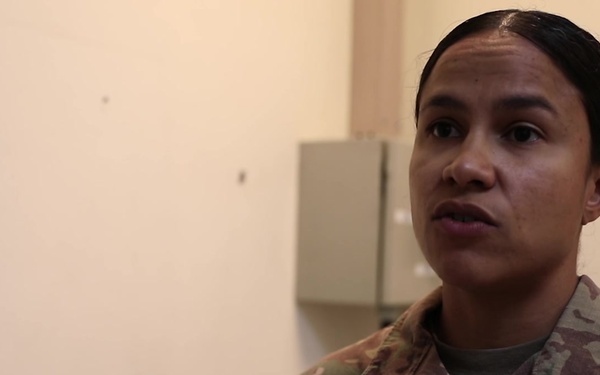 Kennel Inspection B-roll