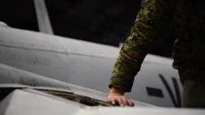 Marine Corps mechanics prep Hornets for take-off during RF-A 21-1