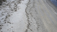Coast Guard, DNREC coordinate Delaware oil spill response