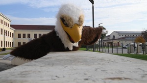 AFN Vicenza The Eagle