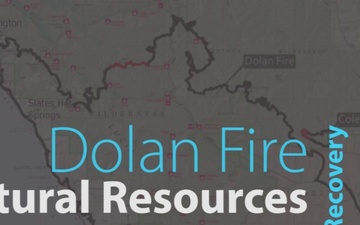 Cultural Resources and the Dolan Fire