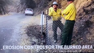 Environmental Recovery After the Dolan Fire