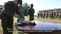 Combat Logistics Battalion 22 Cake Cutting Ceremony