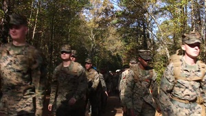 II MSB Tactical Movement