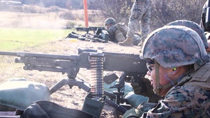 Talking Guns: 2nd MLG Machine Gun Range MEFEX 21.1 (B-Roll)