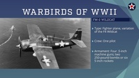 Warbirds of World War II - FM-2 Wildcat