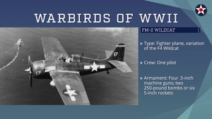 Warbirds of World War II - FM-2 Wildcat