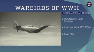 Warbirds of World War II - North American Texan